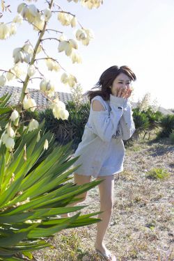 请回答1988 电视剧