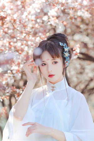 误杀2在线观看完整版免费高清